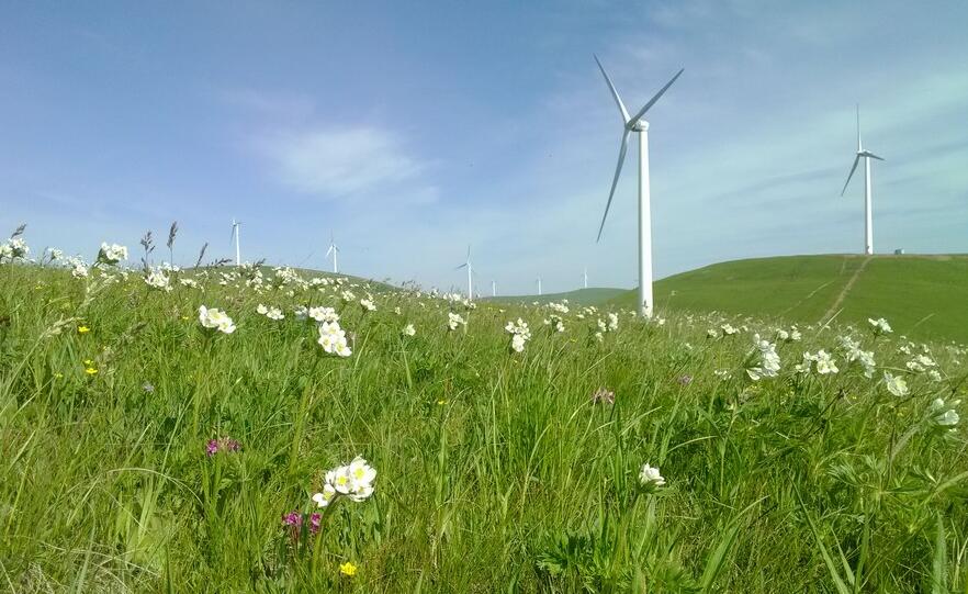 河北駱駝溝風電場